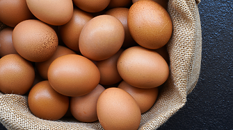 Украинските яйца са безопасни, гарантира агенцията по храните 