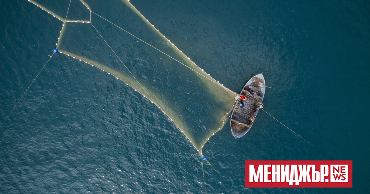 Моряците от трите задържани български кораба на пристанището в румънския