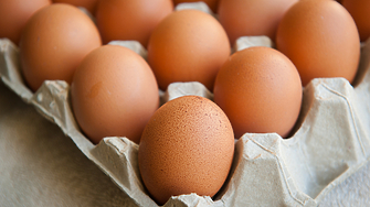 2 6 млн яйца са внесени в България от Украйна