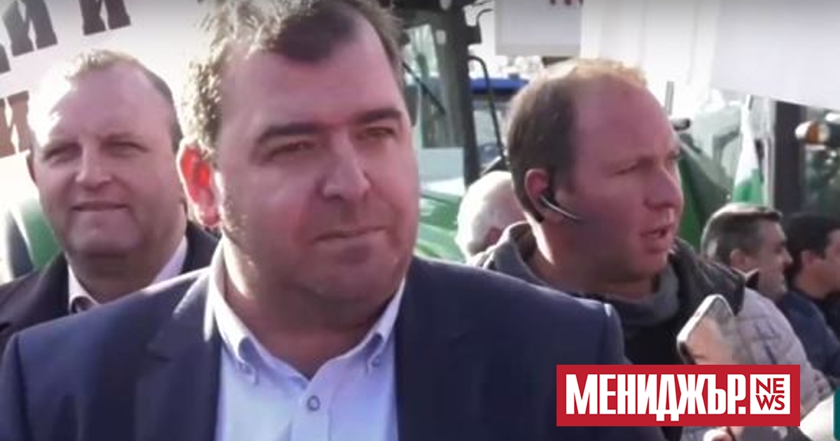 20 пъти е бил увеличен вноса на слънчоглед. С половин