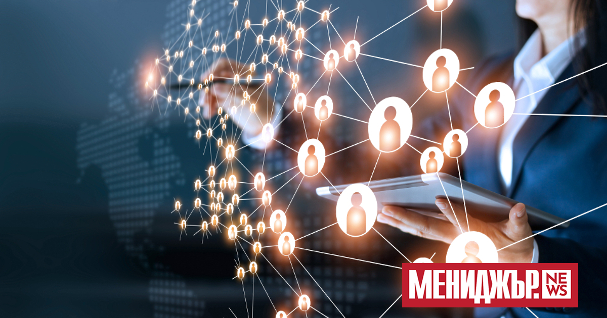 Над 80% от съвременните професионалисти виждат работата в мрежа (networking),