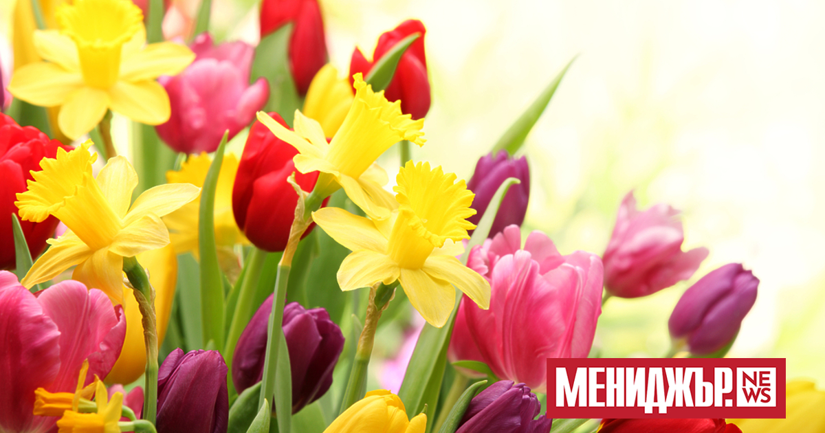 Най-ниските температури през април у нас ще са предимно между