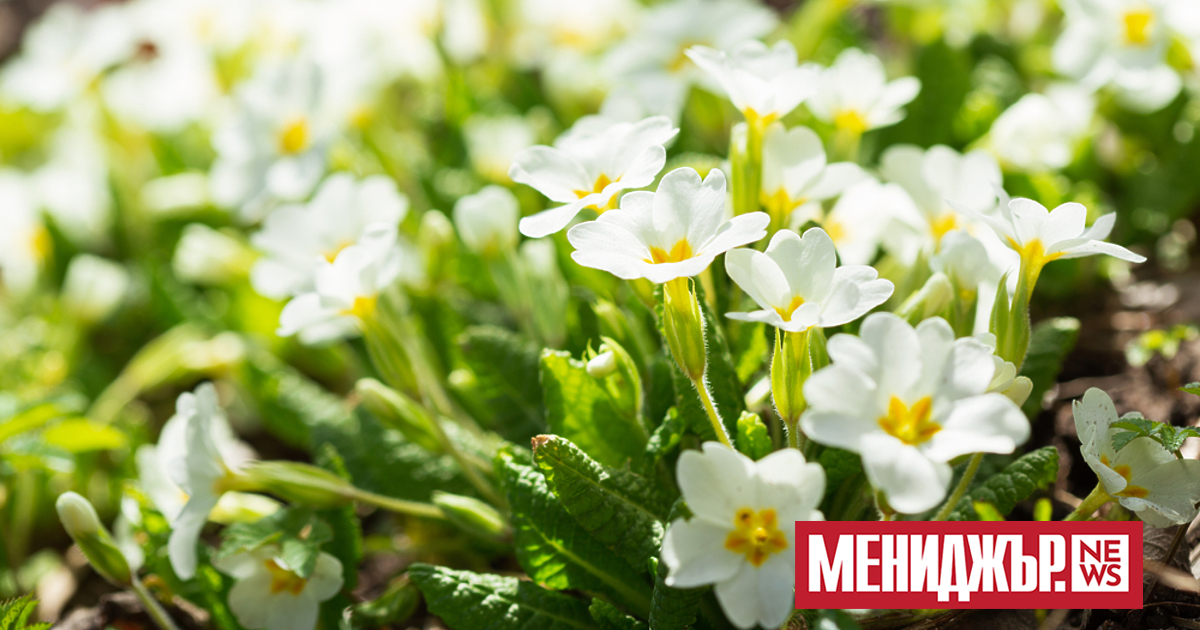 Все още доста студено ще е и тази сутрин, с