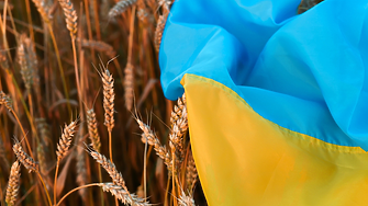ЕС може да върне митата върху вноса на украинско зърно