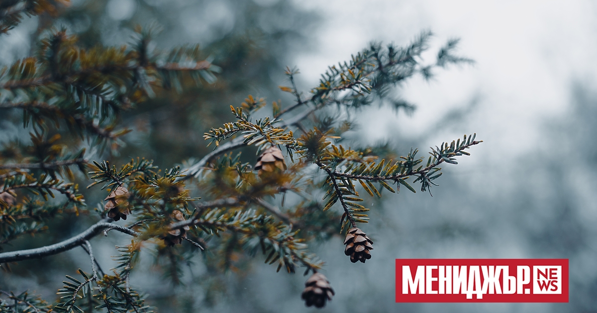 Силен вятър и рязко застудяване днес, прогнозират синоптиците. Валежите ще