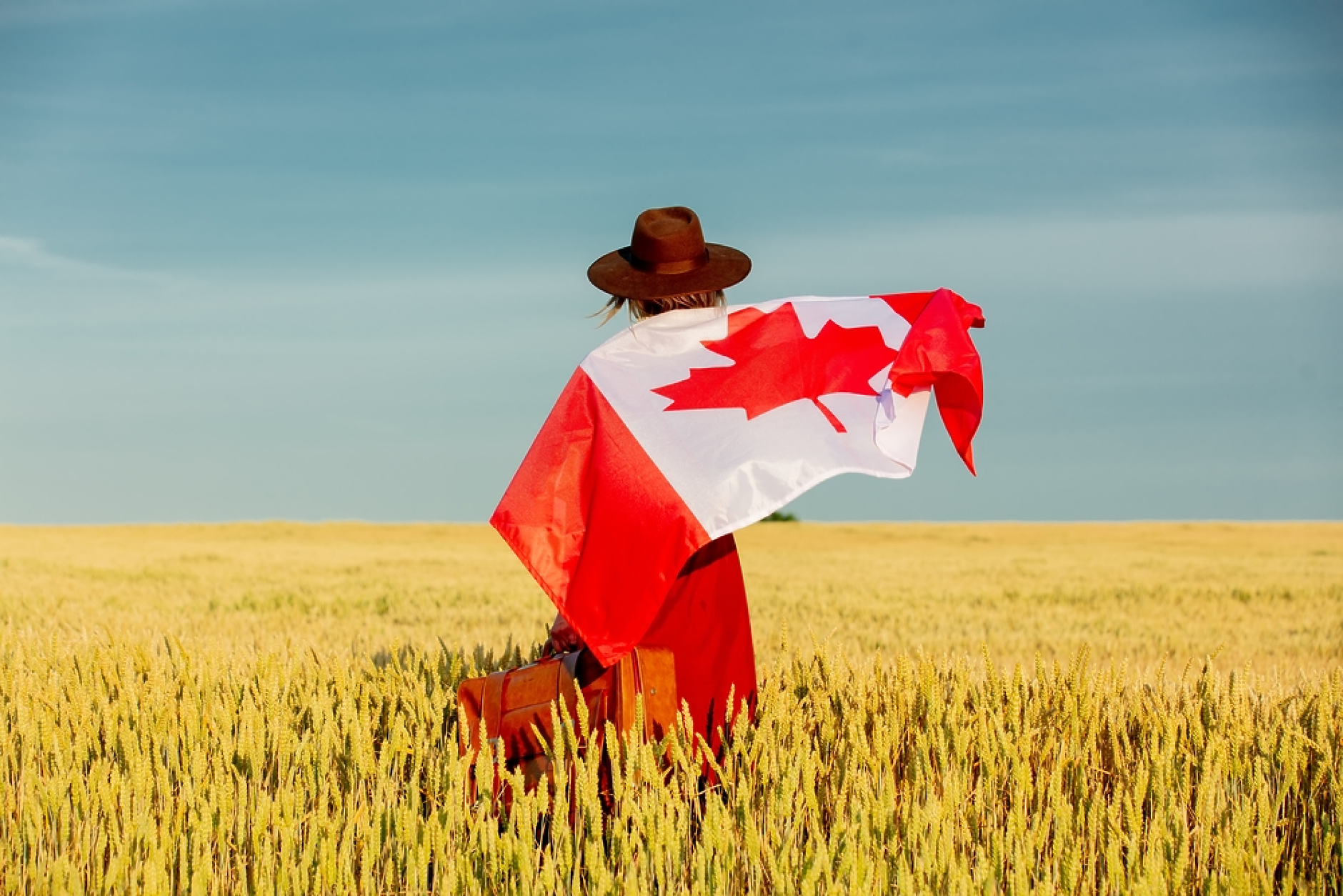 Сушата в Канада може да доведе до прекъсвания на световните доставки на пшеница