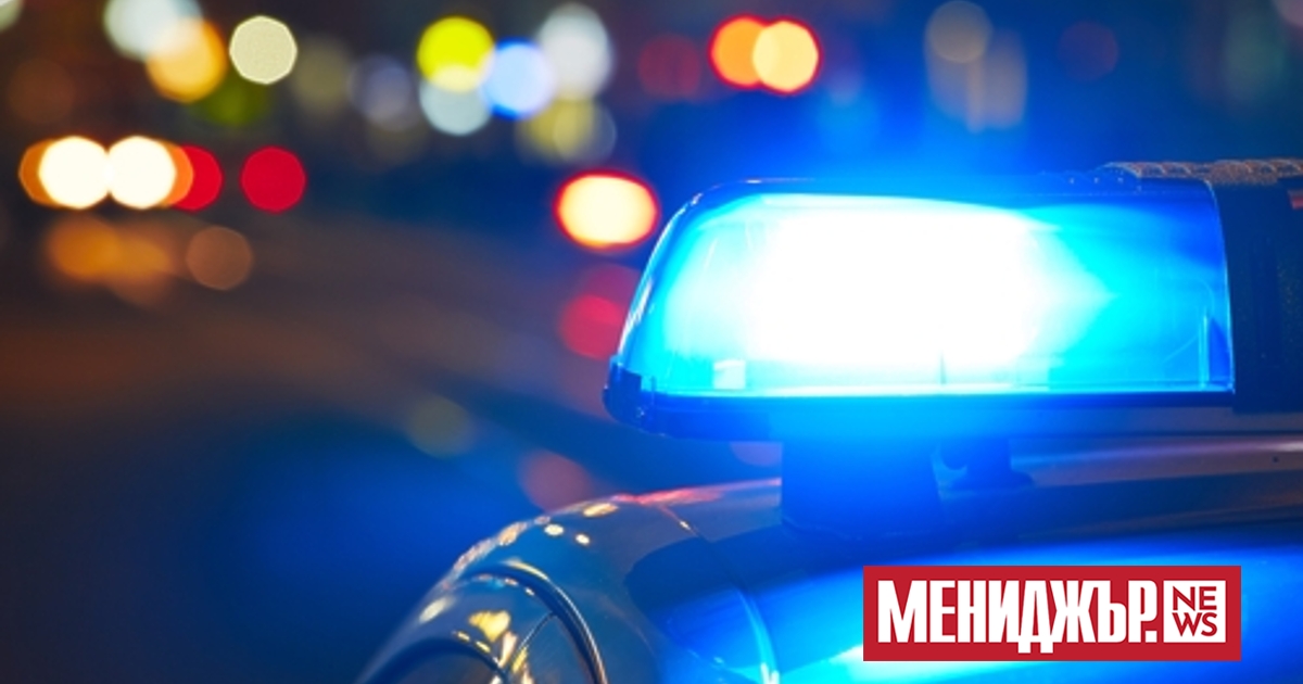 Общо 50 491 артикула, по-голяма част от които текстилни изделия