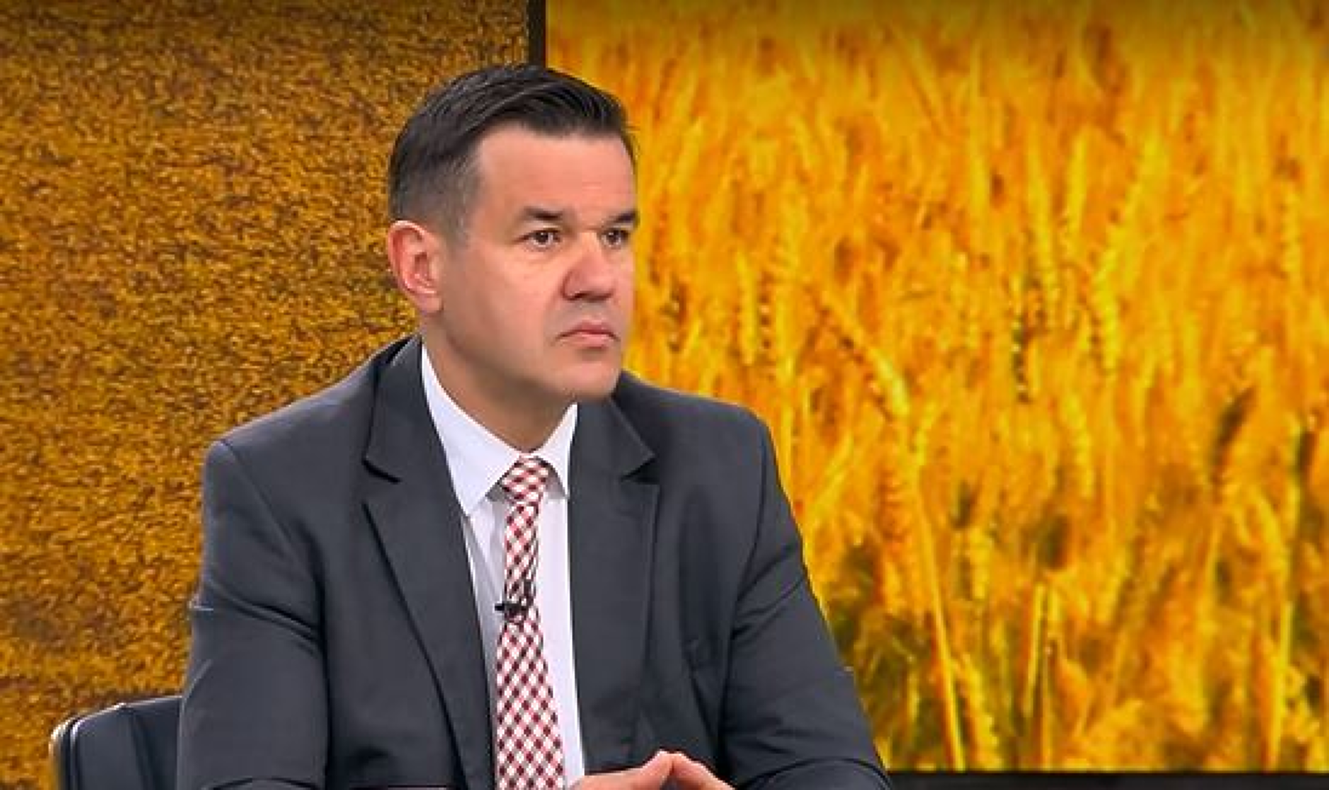Никола Стоянов: Ако цените на едро тръгнат нагоре, сме готови да разрешим вноса от Украйна