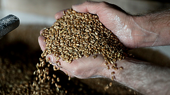 Полша спира вноса на зърно и храни от Украйна