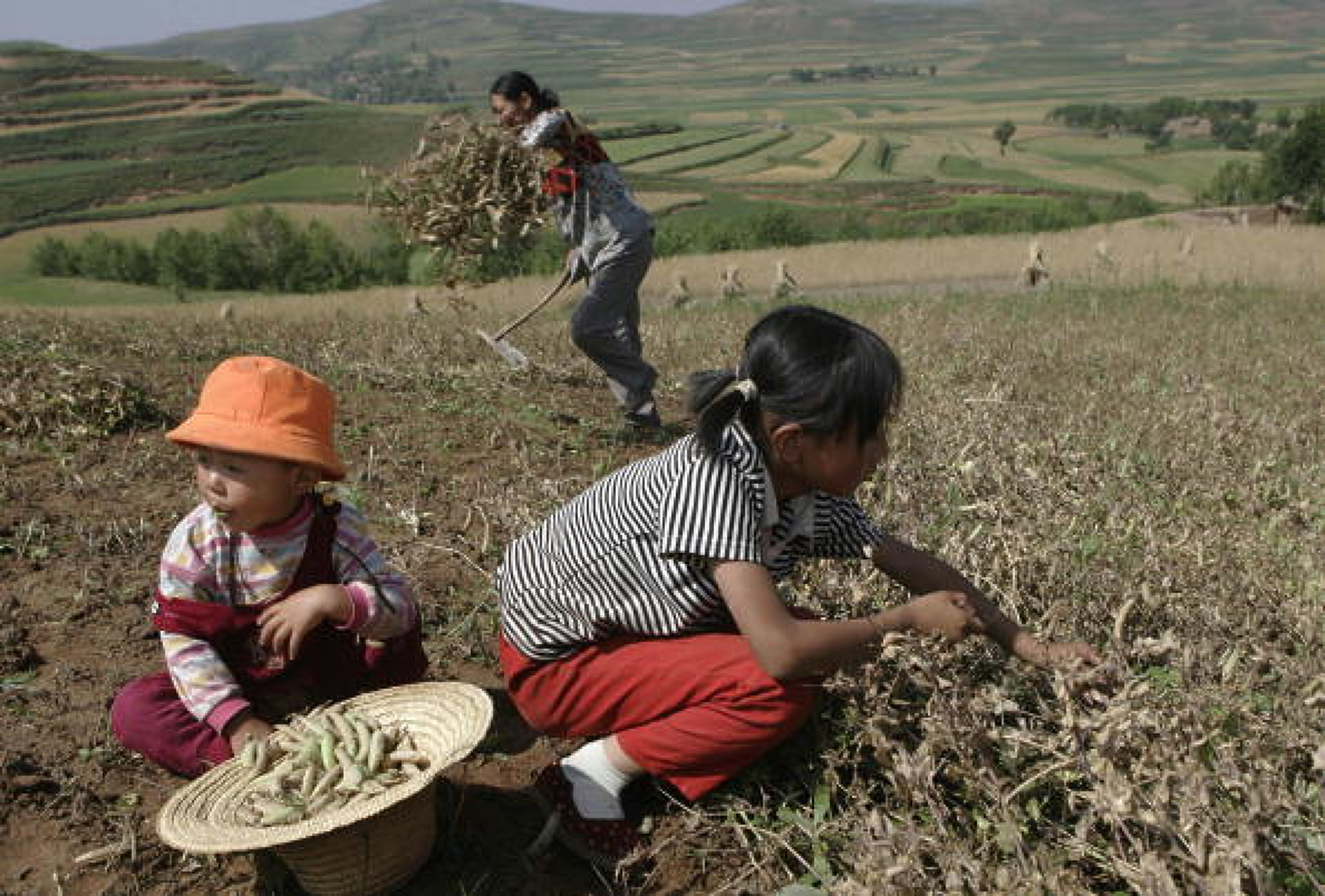 Китай съживява селски райони с електронна търговия и цифровизация