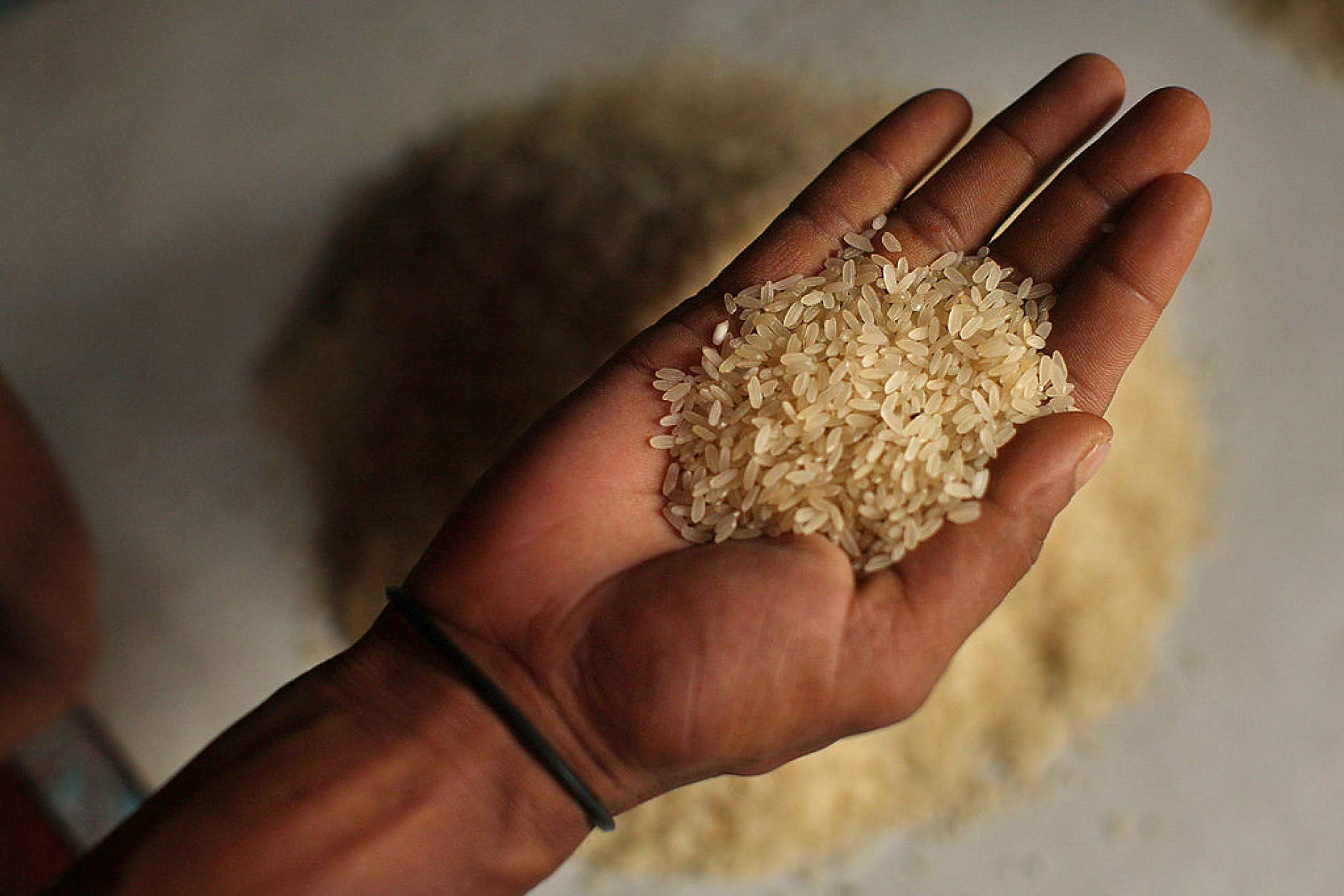 Задава се най-големият глобален недостиг на ориз от 20 г.