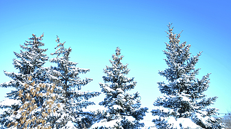 Планинските ни курорти отчетоха успешен зимен сезон 