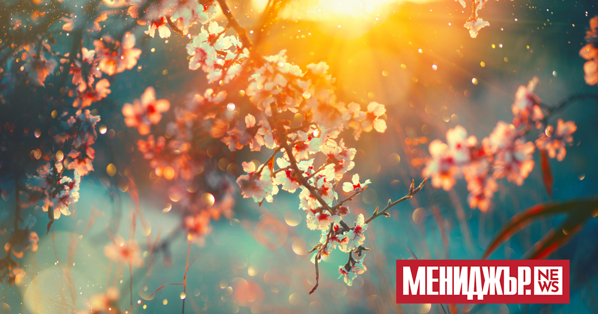 Днес преди обяд ще преобладава слънчево време. Около и след