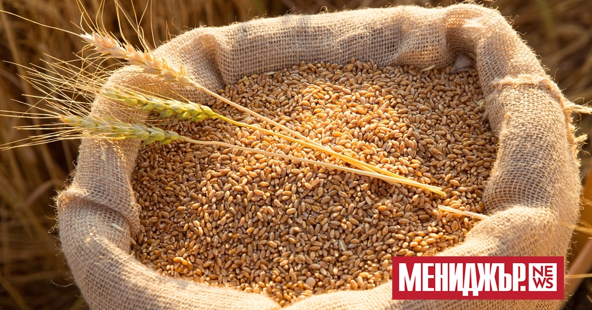 Понижението на цените на основните зърнени стоки на световните борсови