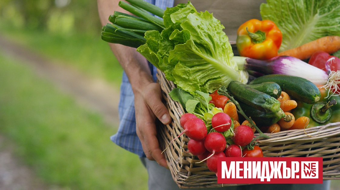 В днешно време всеки се опитва да живее и най-вече