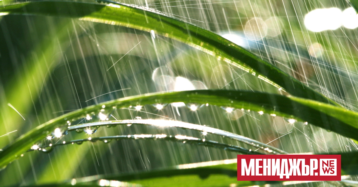 Предимно слънчево и топло ще е днес. Преди обяд временни