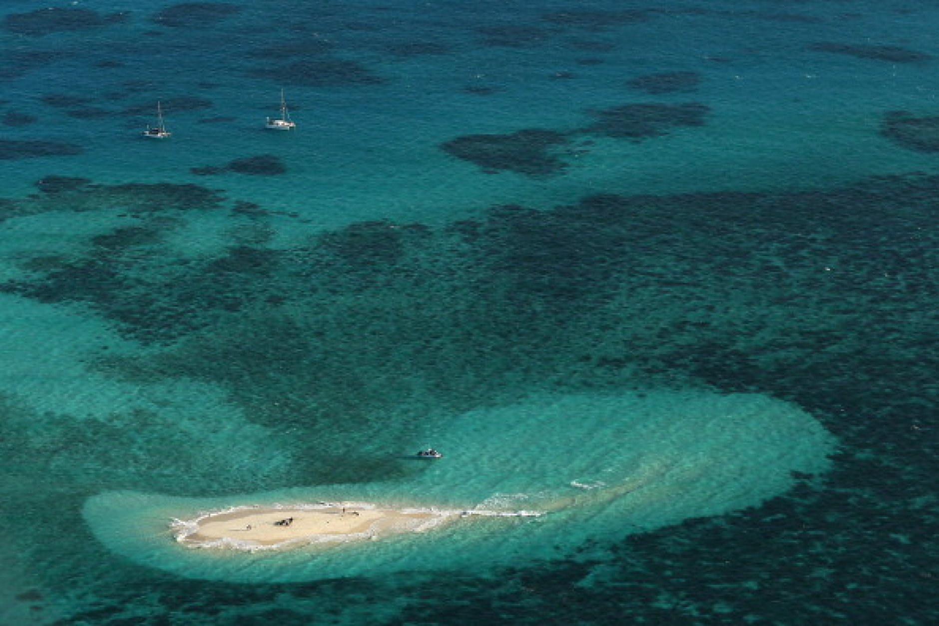 Австралия забранява риболова с мрежи на Големия бариерен риф