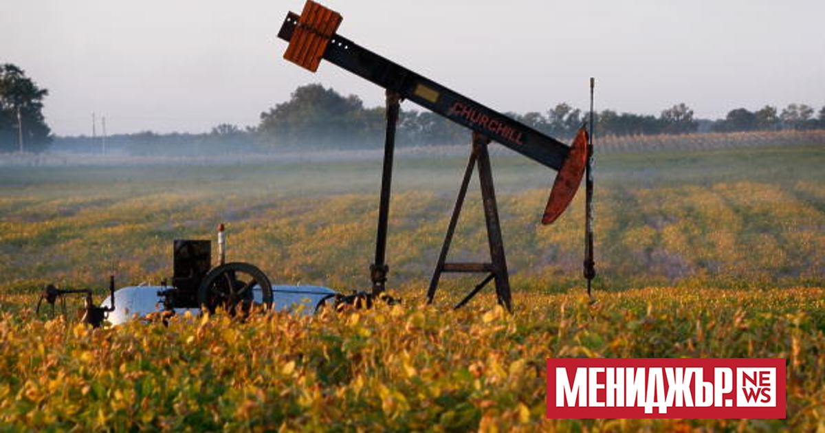 Румънската OMV Petrom, контролирана от австрийската петролна компания OMV, откри нови