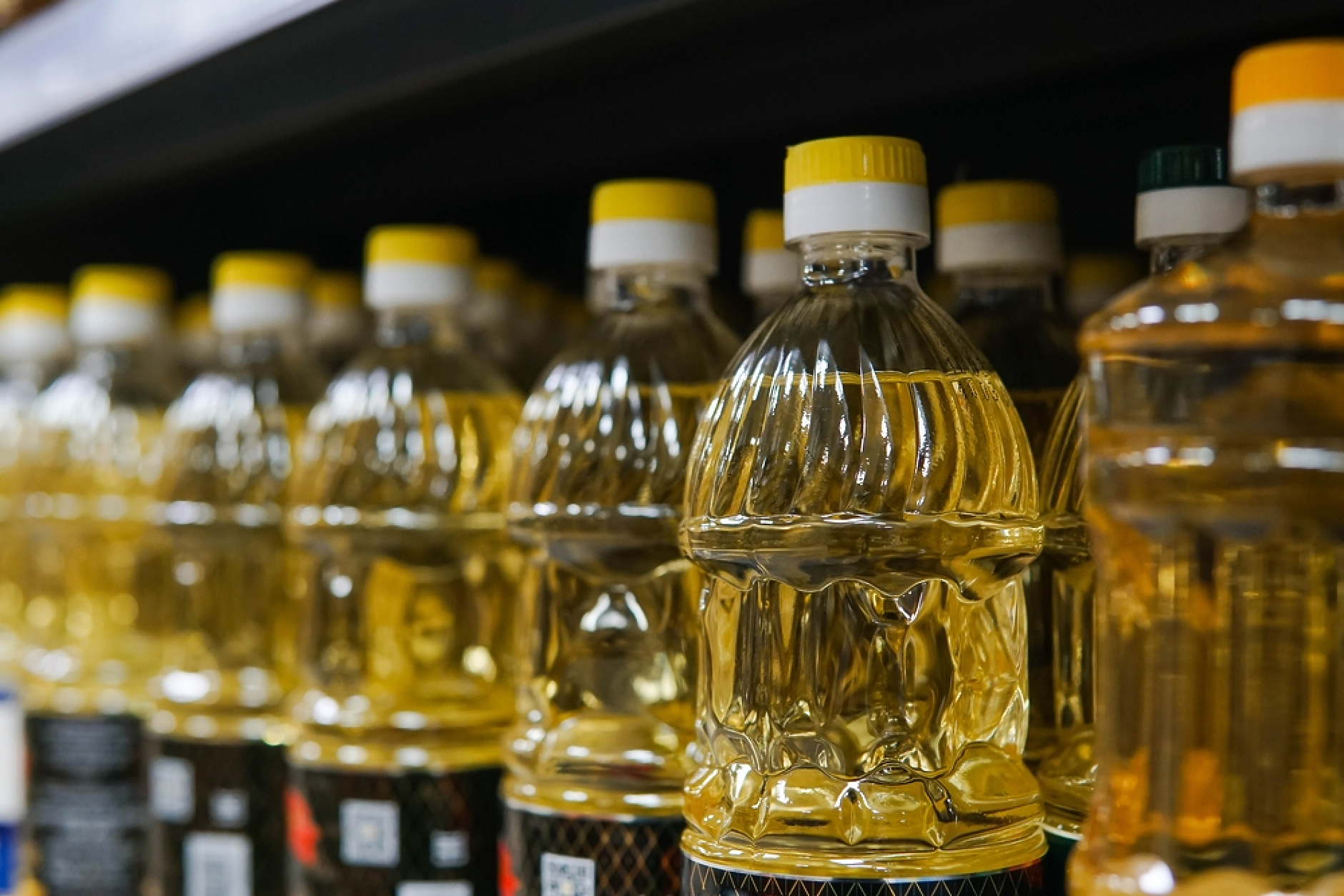 Зърнопроизводители искат забрана за внос на олио от Украйна 