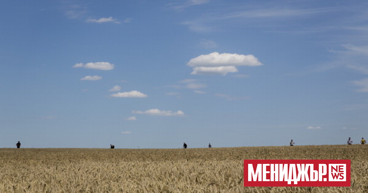 Сериозен ръст отбелязва средната цена на сделките с ниви у