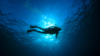 Феновете на леките подводни разходки са късметлии – разработката на