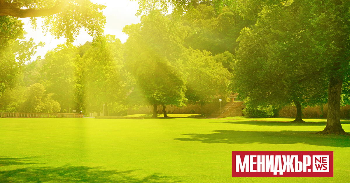 В петък ще бъде слънчево и почти тихо. Дневните температури