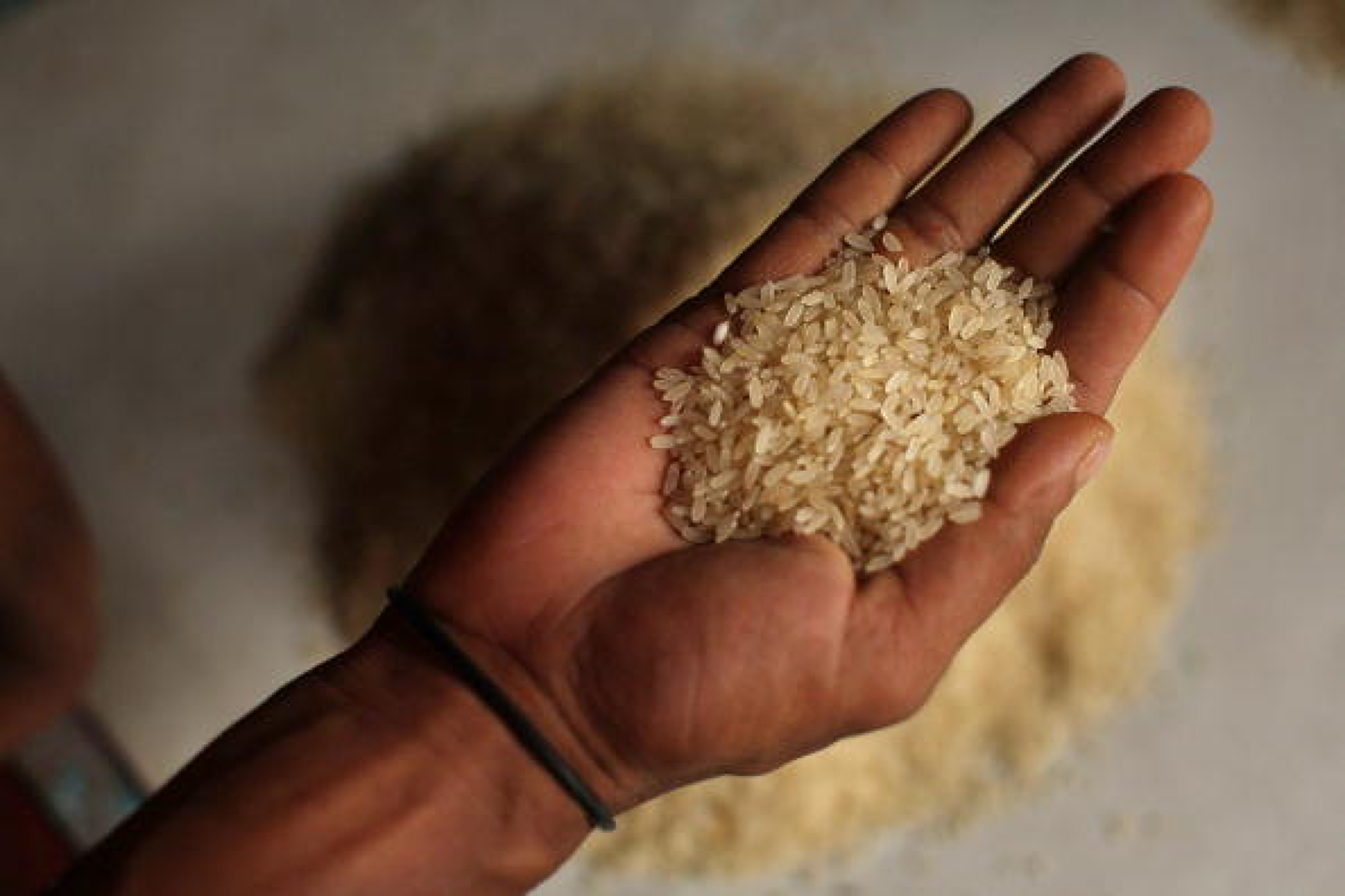 Индия се готви да свие с  80% износа на ориз заради Ел Ниньо