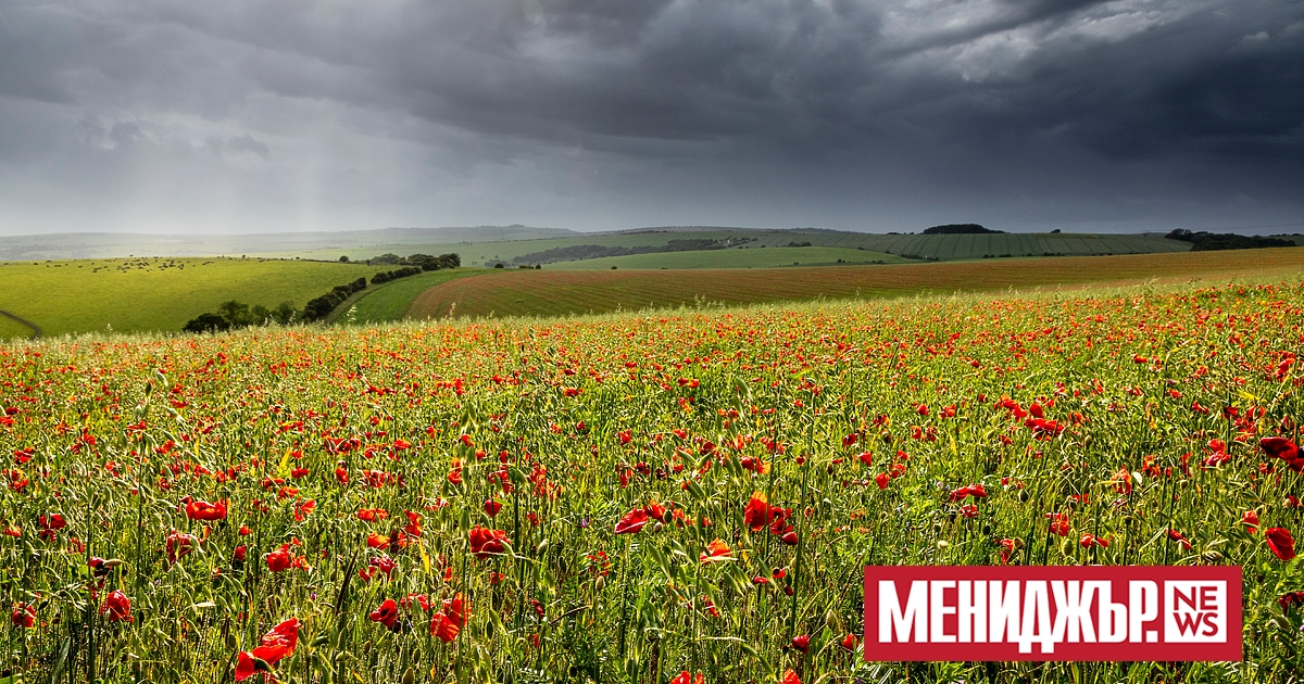 Слънчево и спокойно ще е времето днес преди обяд, но
