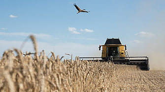Русия официално напусна зърнената сделка часове преди крайния срок
