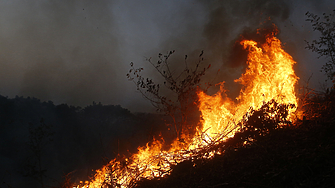 Силни горски пожари бушуват за трети пореден ден на запад