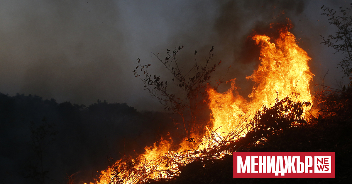 Силни горски пожари бушуват за трети пореден ден на запад
