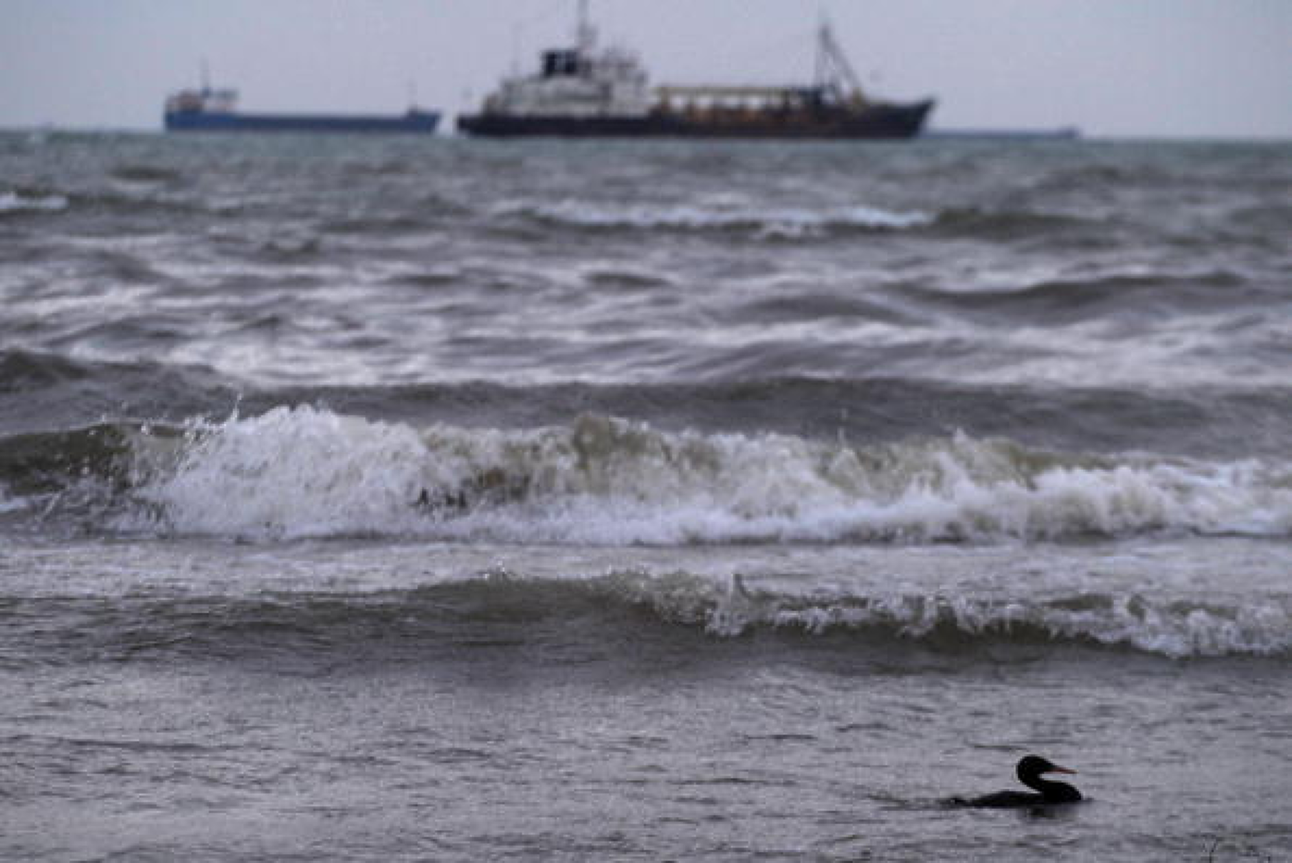 НС възложи на енергийния министър да преговаря за участие на БЕХ в търсенето на нефт и газ в Черно море