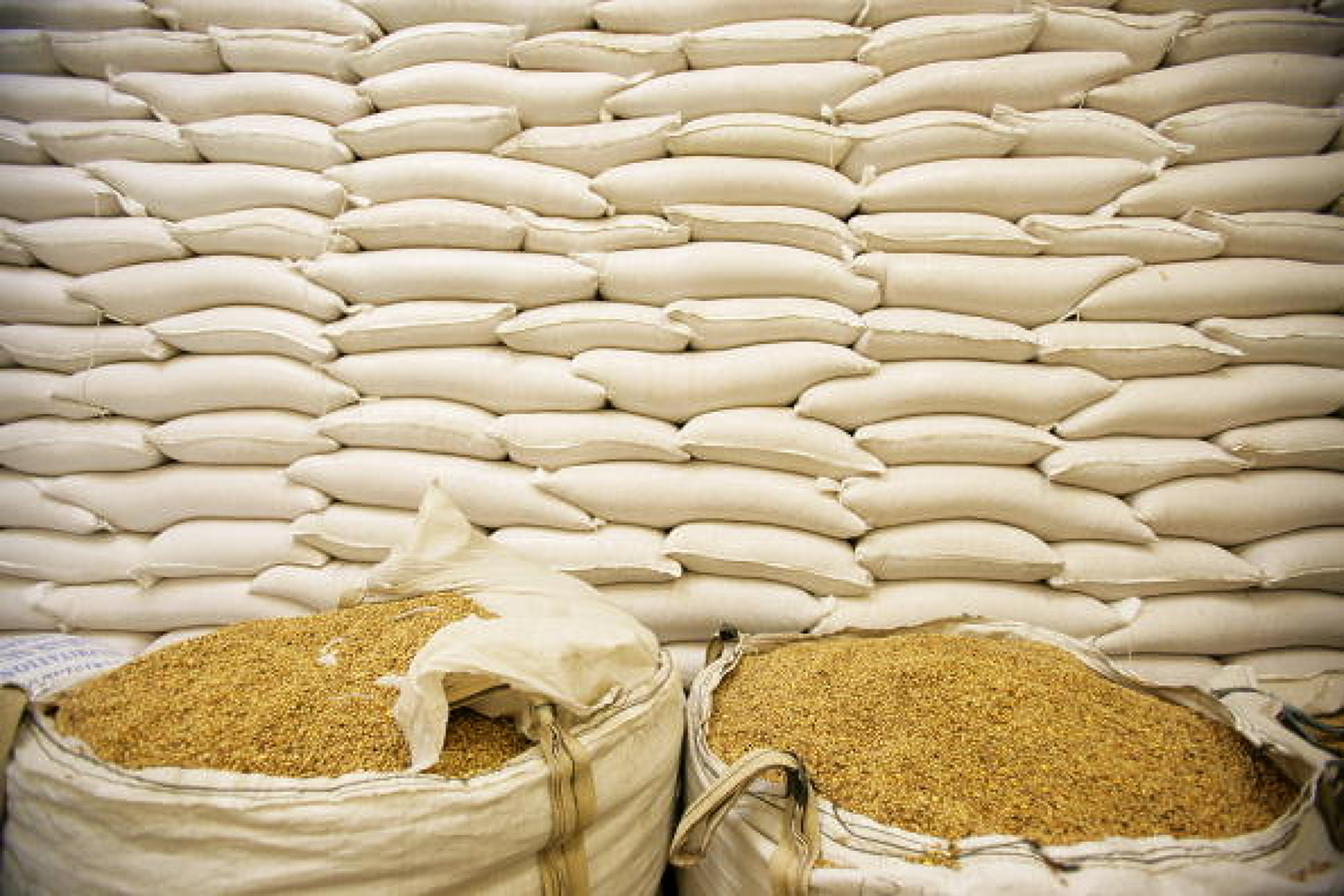 ЮАР се прицелва за позиция на износител по зърнената сделка 