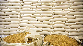 ЮАР се прицелва за позиция на износител по зърнената сделка 