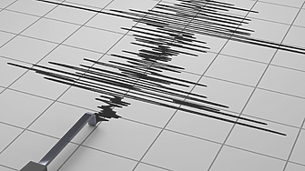 Земетресение от 5,5 по Рихтер разлюля окръг Адана в Турция, няколко души са пострадали 