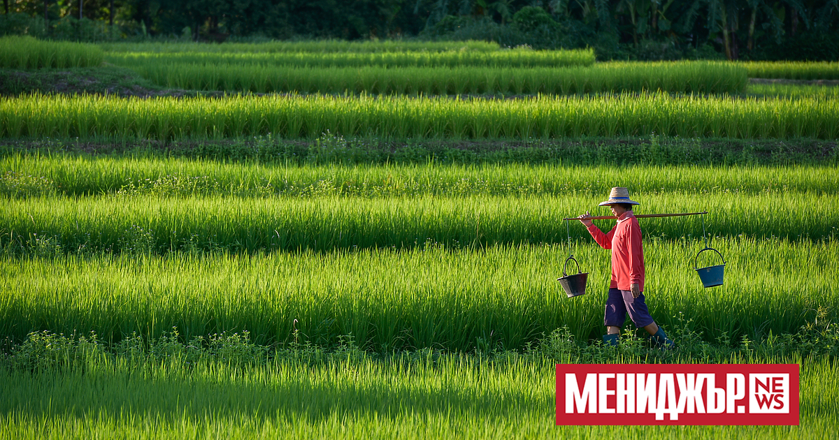 Понякога това, което е най-често срещано, е най-забележително. За тези