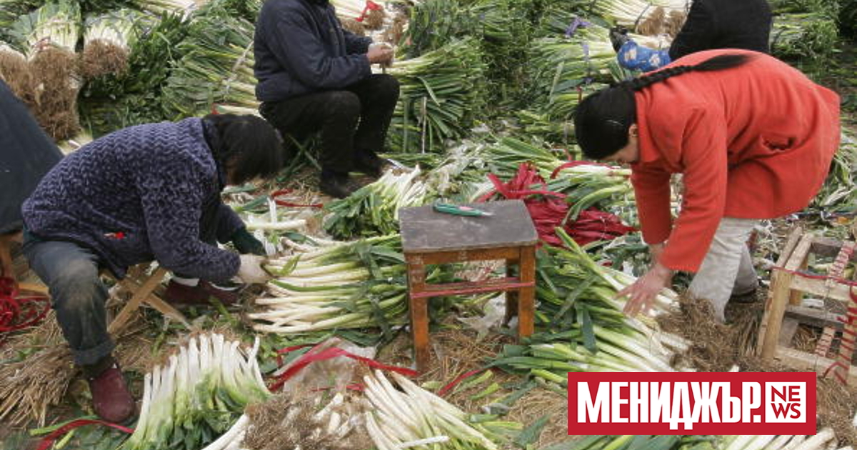 Цените на едро на селскостопанските продукти в Китай са се