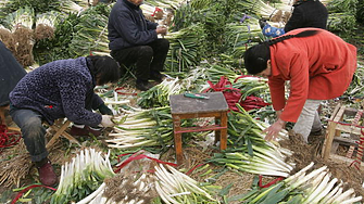 Китай отчете поскъпване на селскостопанските продукти за последната седмица