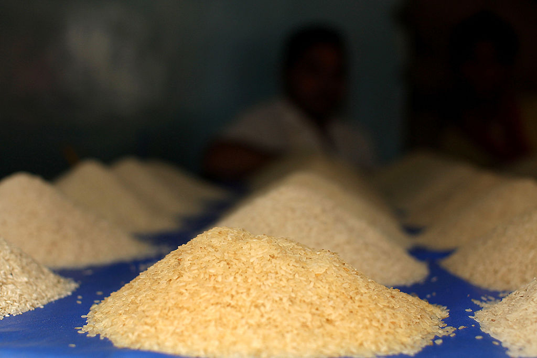 Цените на виетнамския ориз се увеличават след забраната за износ от Индия