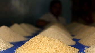 Миналата седмица цените на ориза в района на делтата на