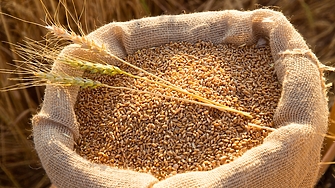 Египет подписа споразумение за внос на пшеница за 500 милиона