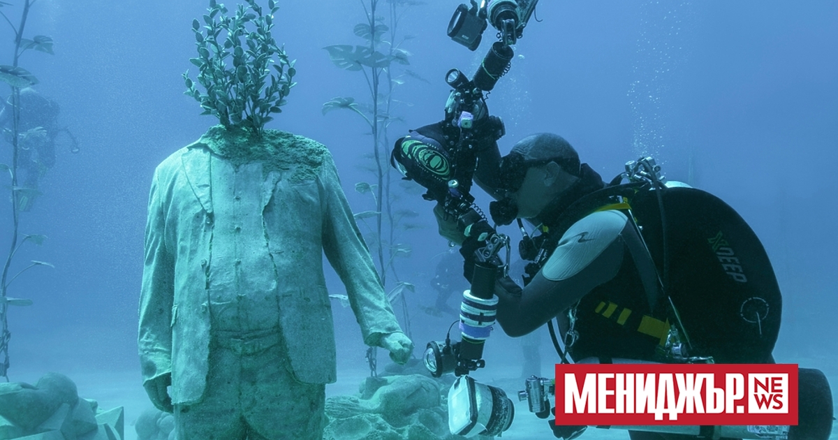 Министерството на околната среда на Египет обяви откриването на три