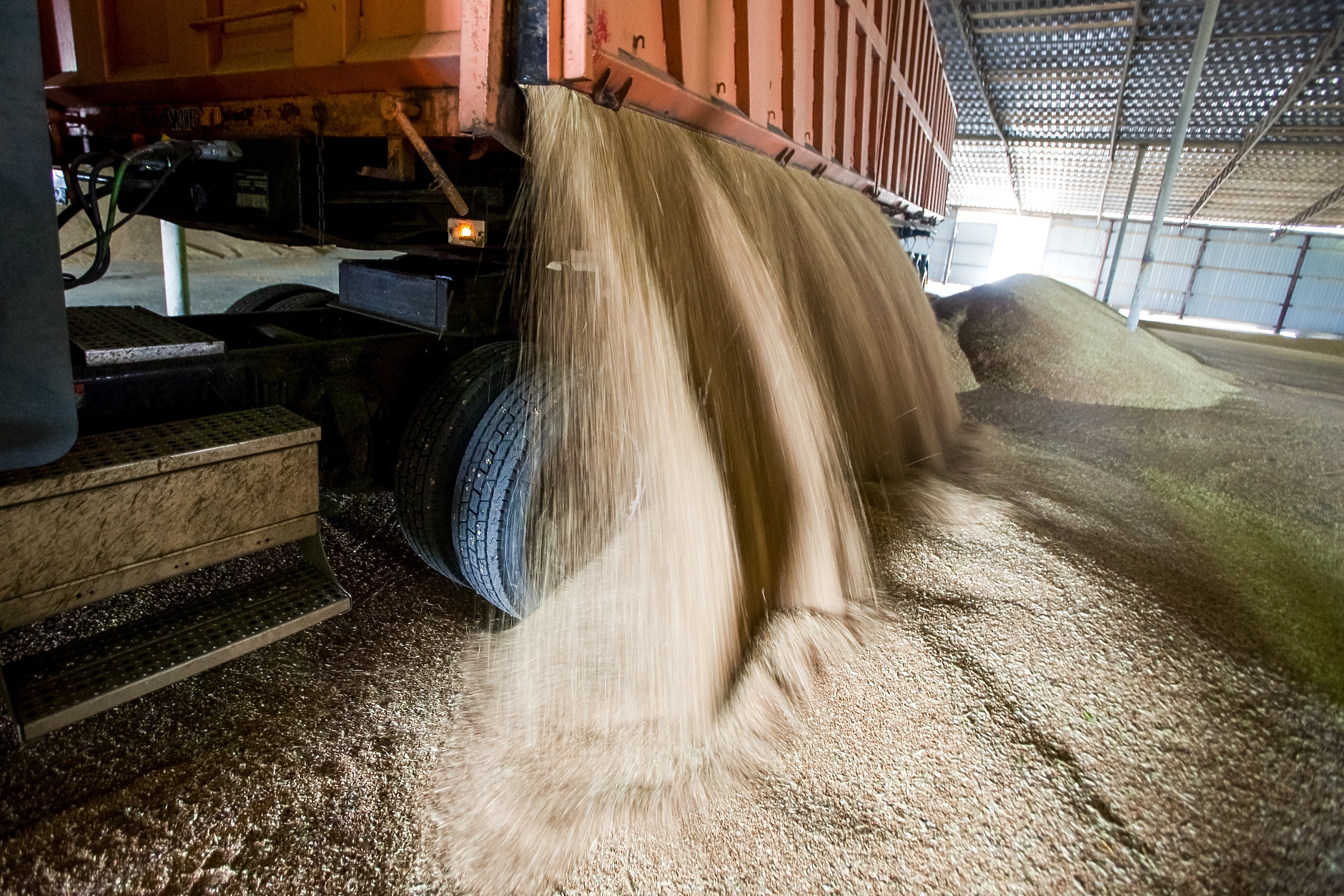 Пшеницата поскъпна с близо  5 на сто след руски атаки срещу украински пристанища 