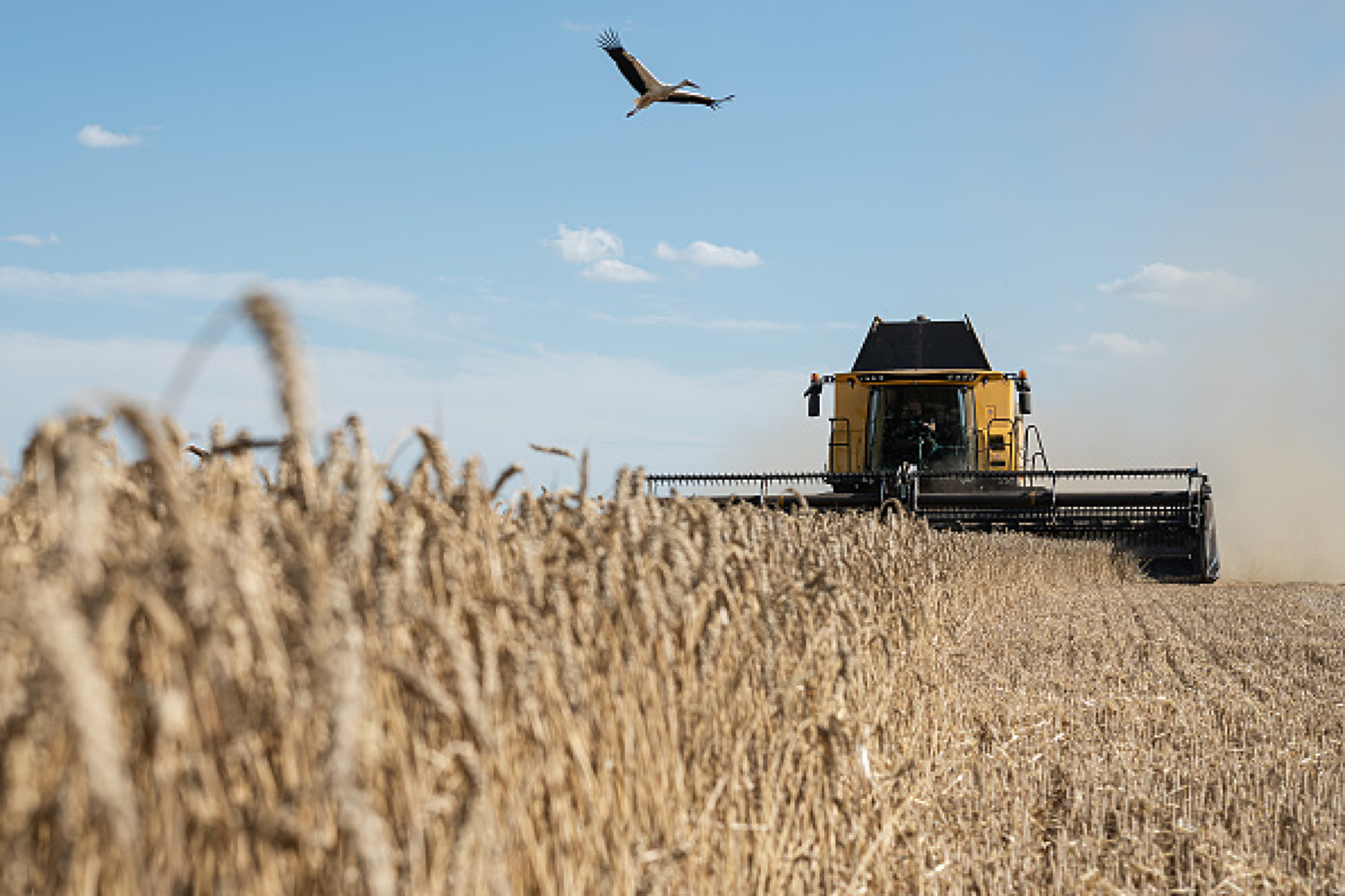 5 страни от ЕС искат удължаване на забраната за внос на зърно от Украйна