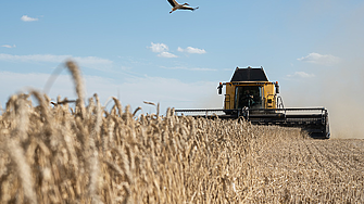 5 страни от ЕС искат удължаване на забраната за внос на зърно от Украйна