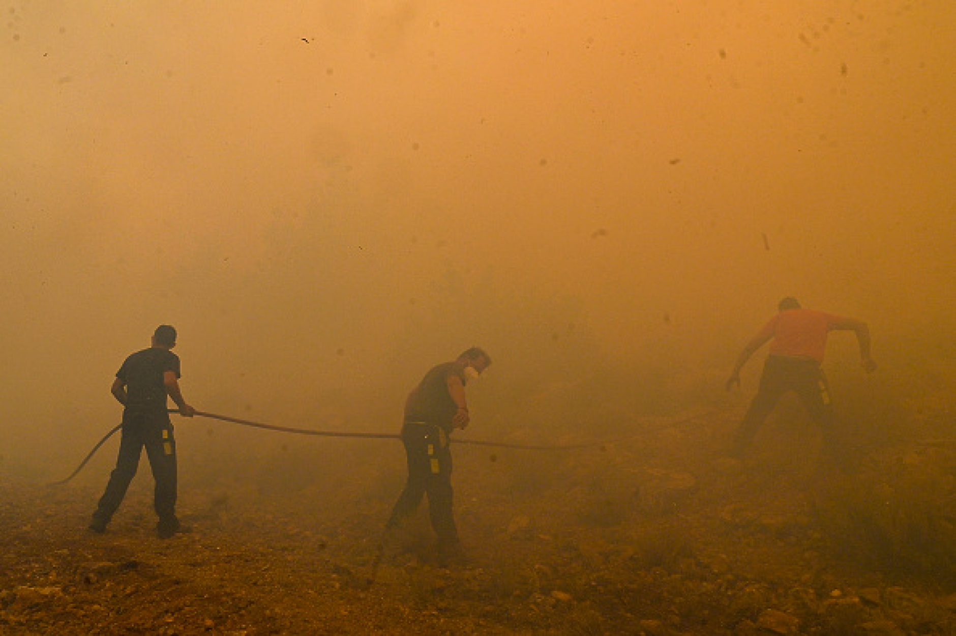 79 ареста в Гърция за умишлени палежи в акция заради горските пожари