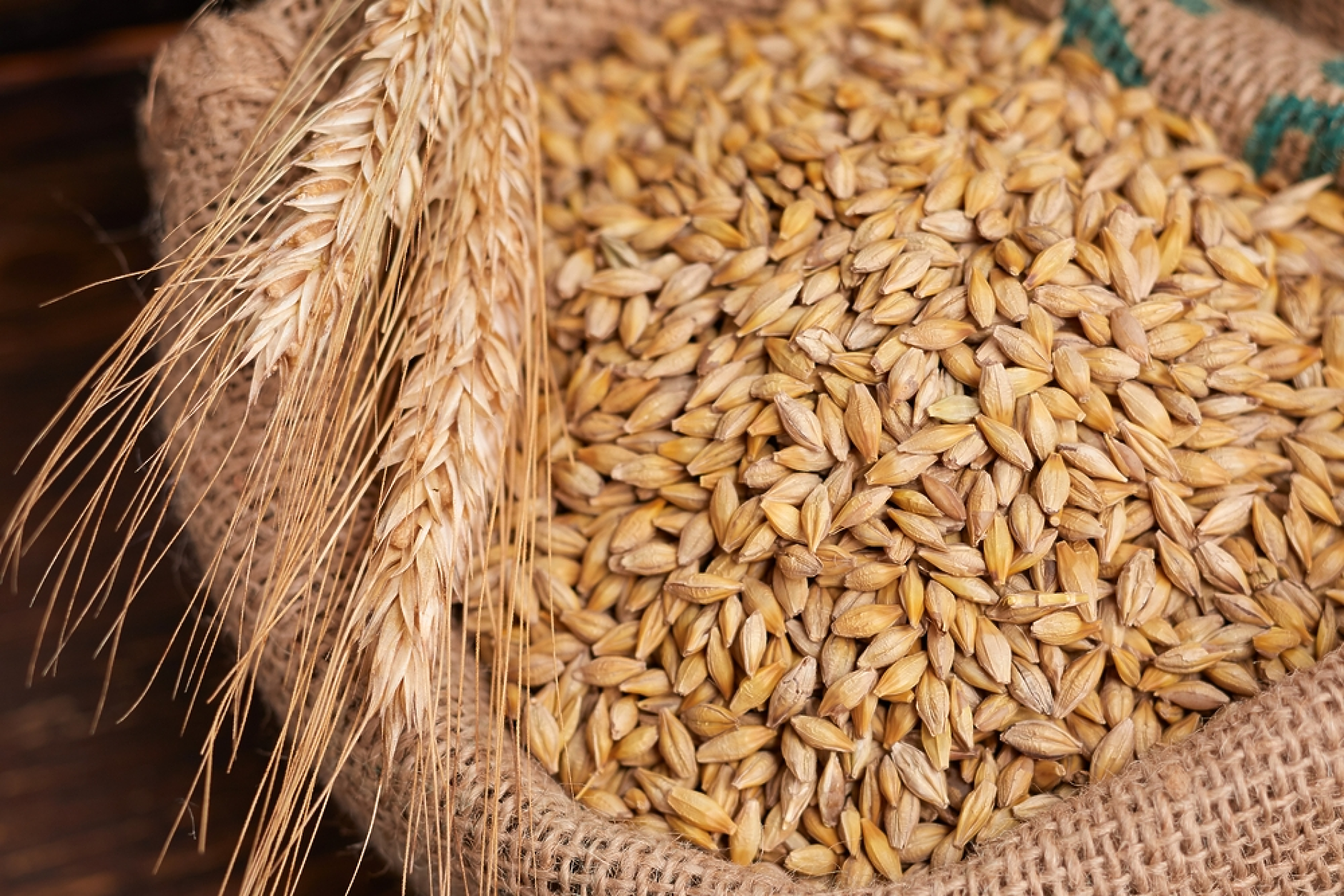 Румъния е поискала от Европейската комисия удължаване на ограниченията за внос на зърно от Украйна