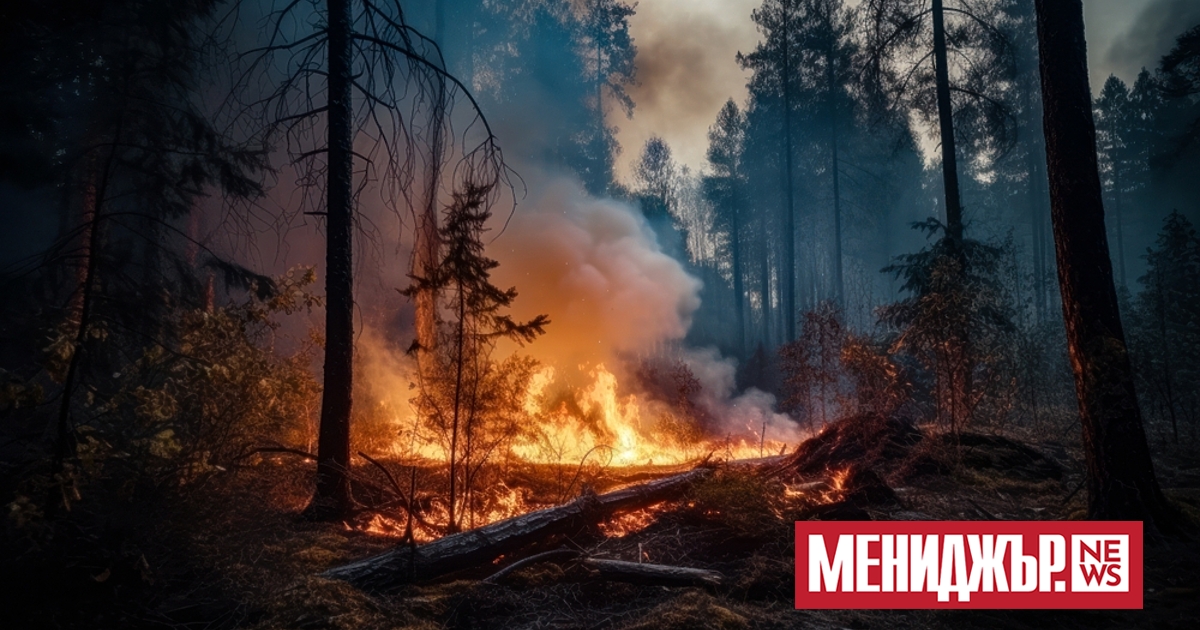 На множество места в Боливия бушуват пожари, свързани с човешка