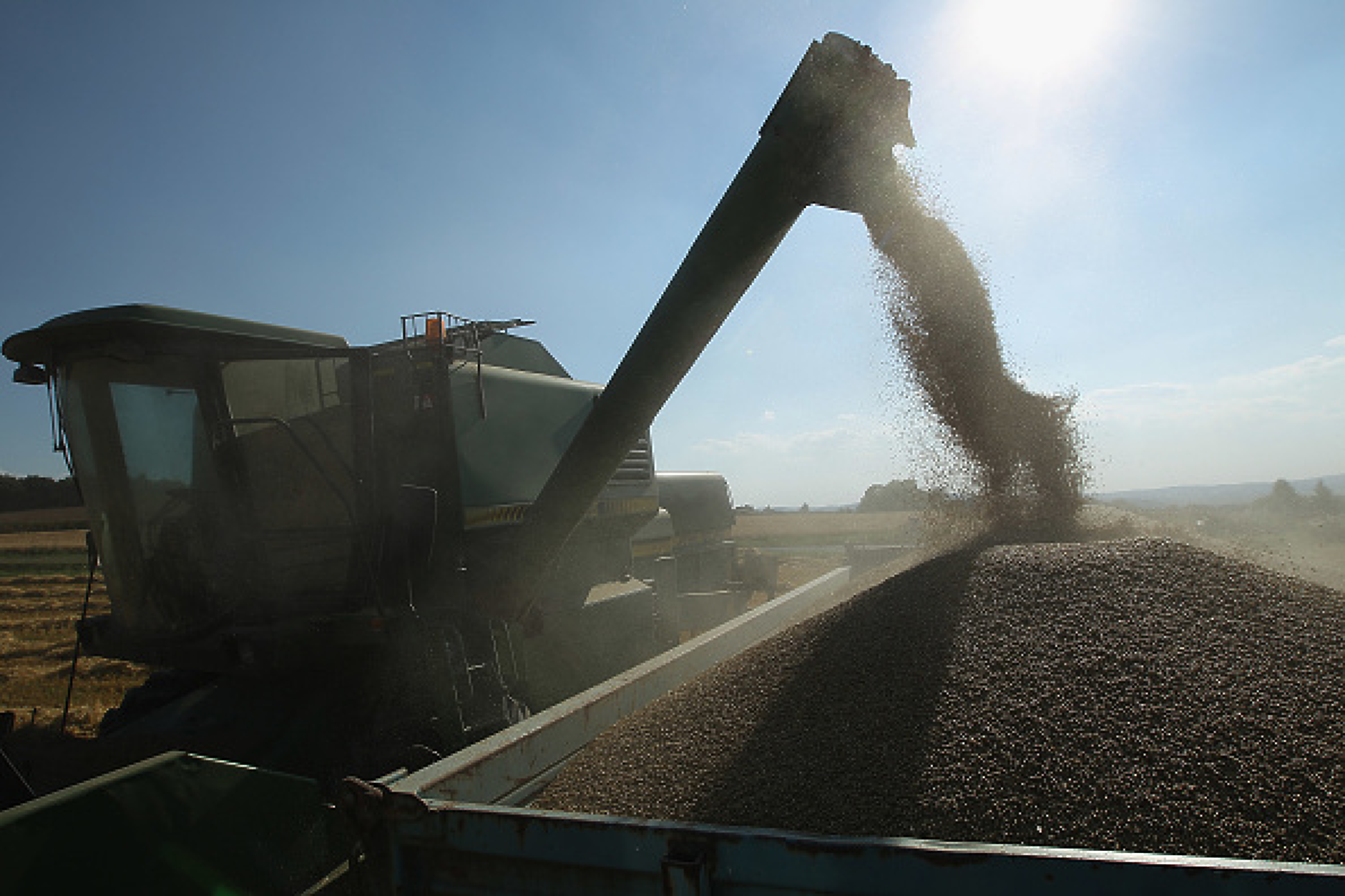 Цената на пшеницата остава относително стабилна на световните пазари