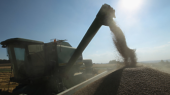 Цената на пшеницата остава относително стабилна на световните пазари